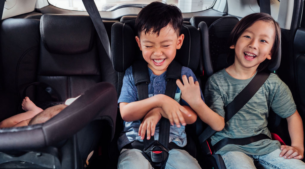 Taxibaby mifold sales